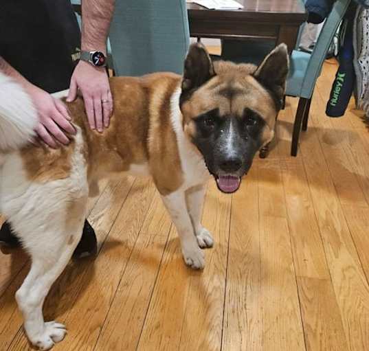 Photo of Tyson