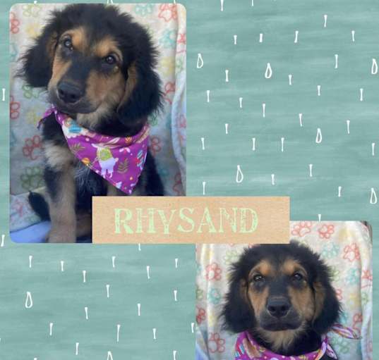 Photo of Rhysand