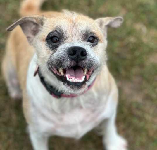 Photo of Coco