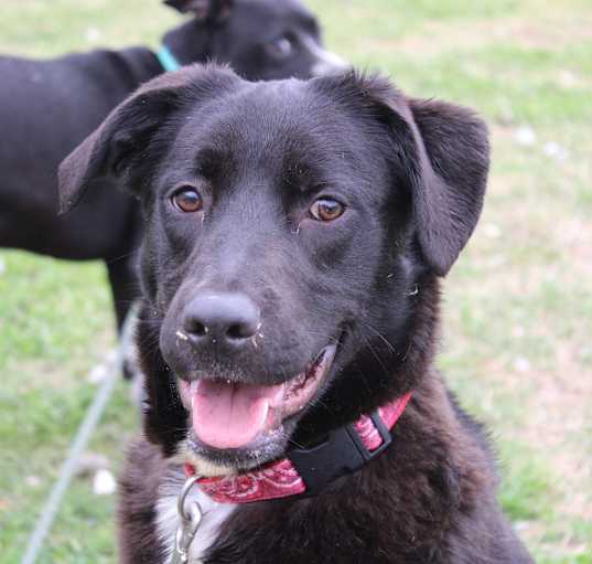 Photo of Monty