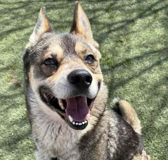 Photo of Cayde