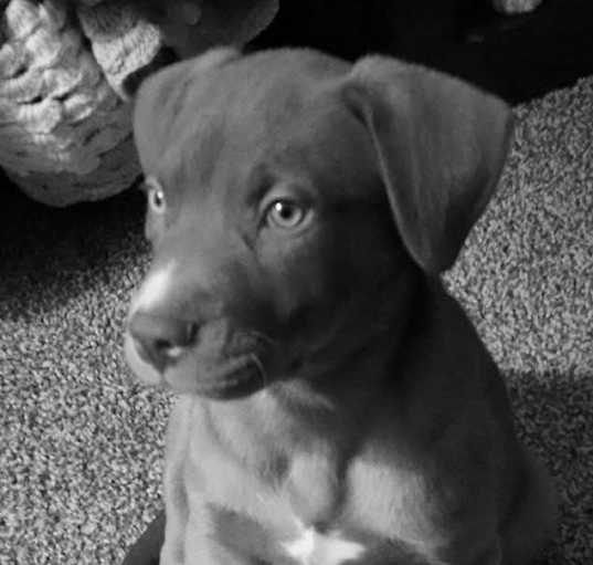 Photo of Durk