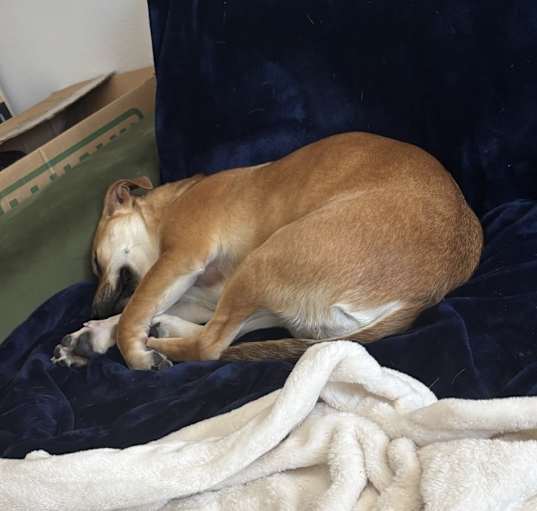 Photo of Reggie