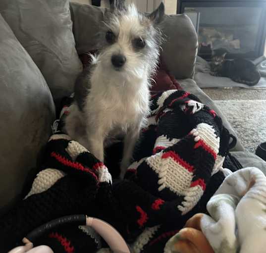 Photo of Tootie