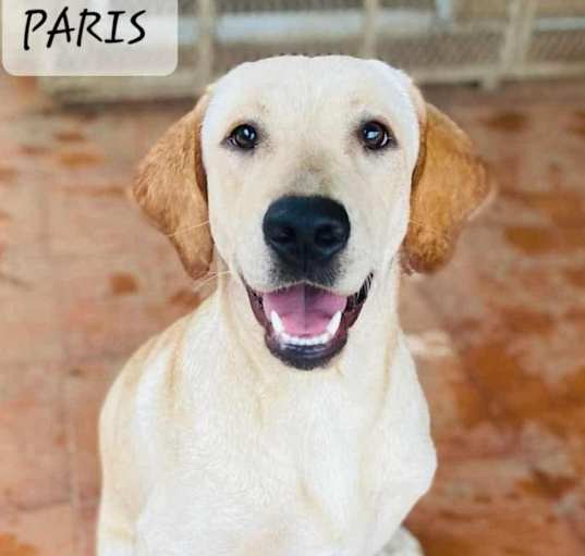 Photo of Paris