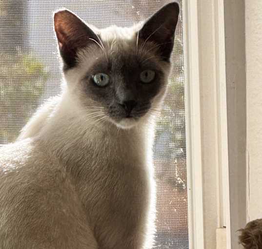 Photo of Heidi
