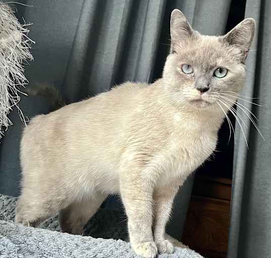 Photo of Tink