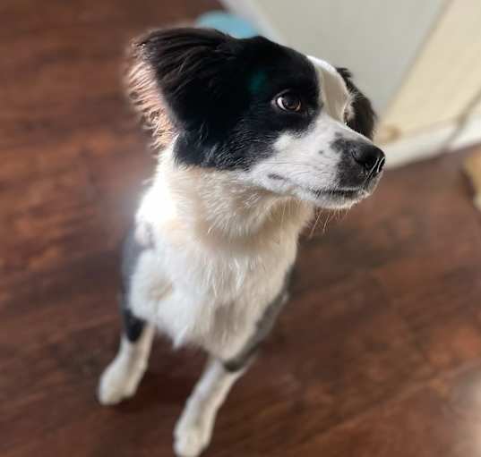 Photo of Concha