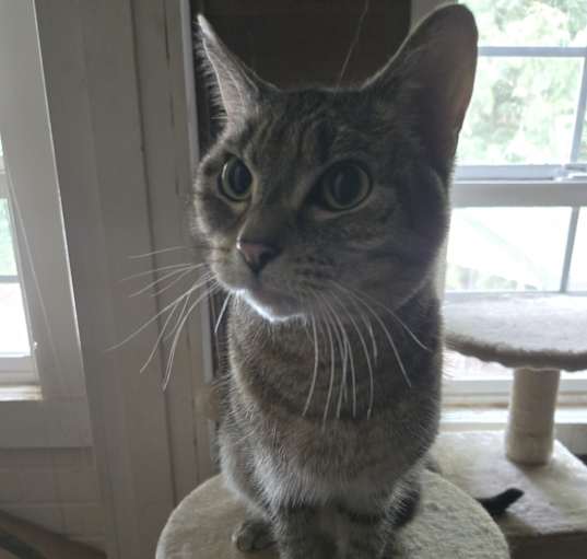 Photo of Slinky