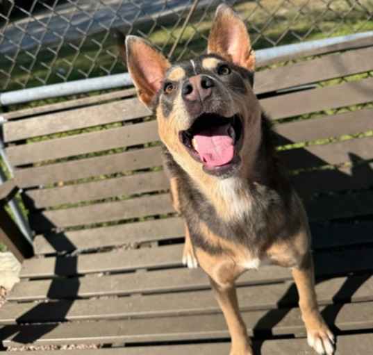 Photo of Kimber