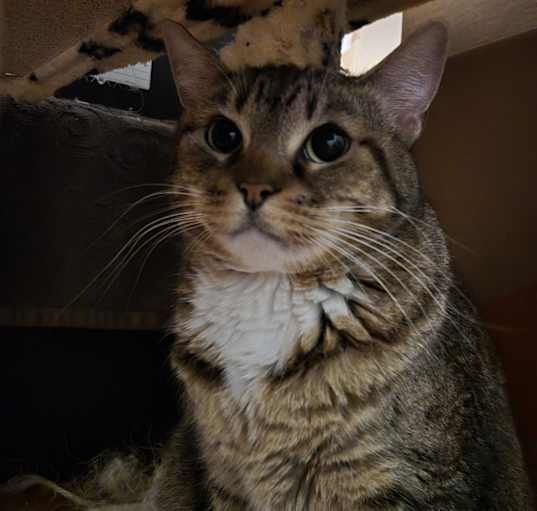 Photo of Bootsie