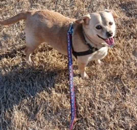 Photo of Abby