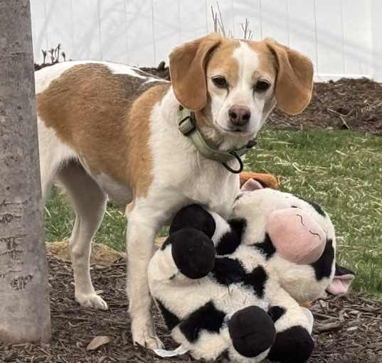 Photo of Maeve