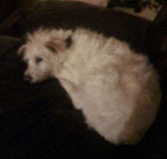 Photo of JESICA