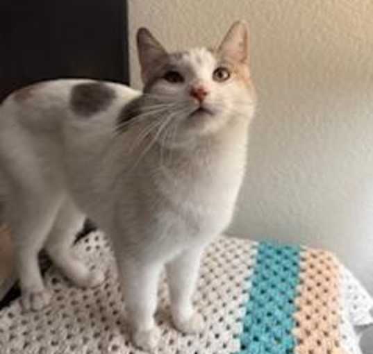 Photo of Penelope