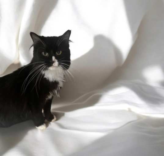 Photo of Marcie