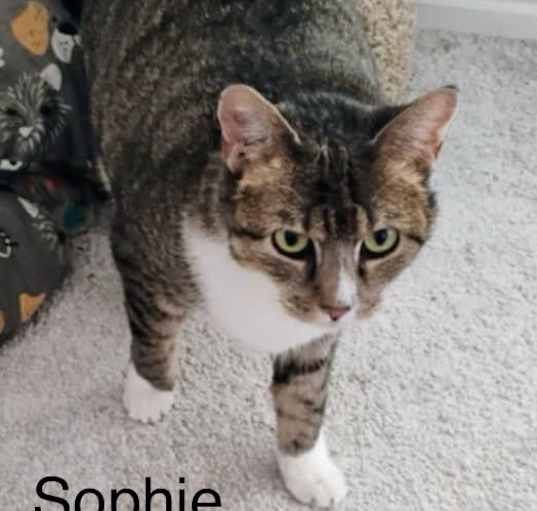 Photo of Sophie