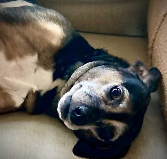 Photo of Mei