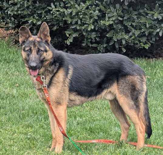 Photo of CHAMP