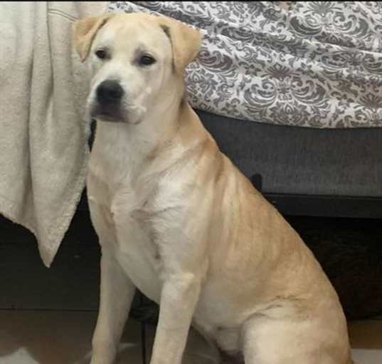Photo of ZUKO