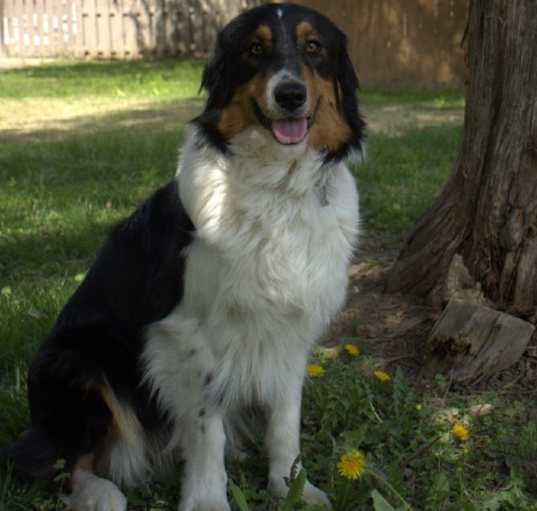 Photo of Tootsie