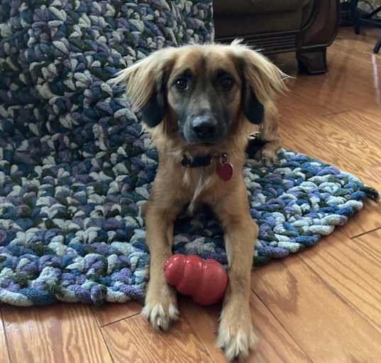 Photo of Lola