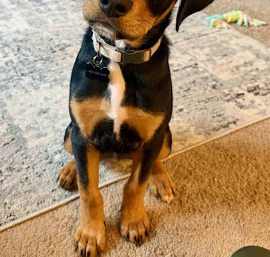 Photo of LeRoy