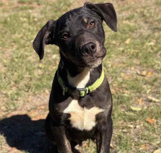 Photo of DOPEY