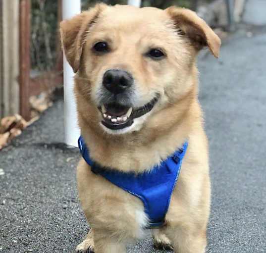 Photo of Apollo