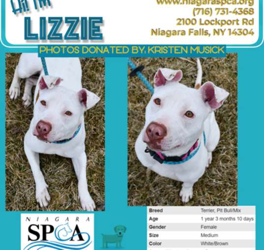 Photo of Lizzie
