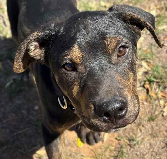 Photo of SNEEZY