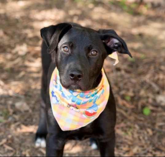 Photo of ROWDY