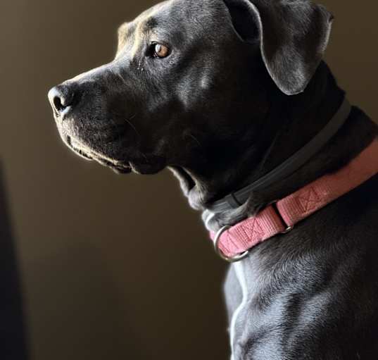 Photo of Reyna