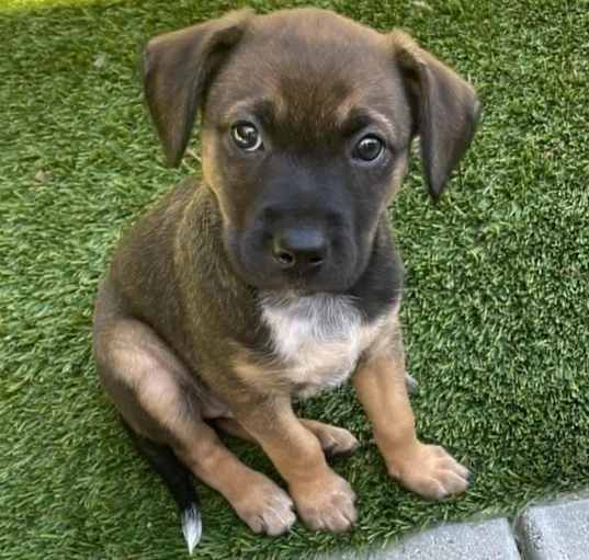Photo of Lucy