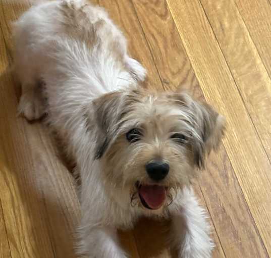 Photo of Lilly