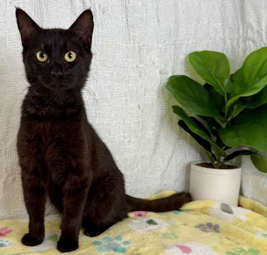 Photo of Klaus