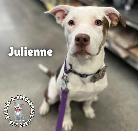 Photo of The Potato Litter:  Julienne