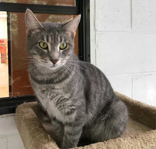 Photo of Jelly Bean