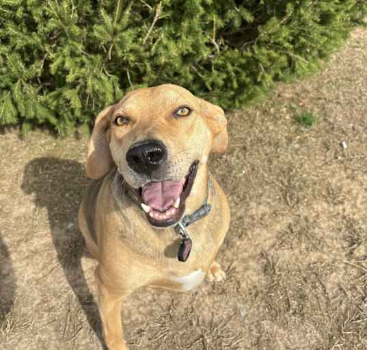 Photo of Hazel