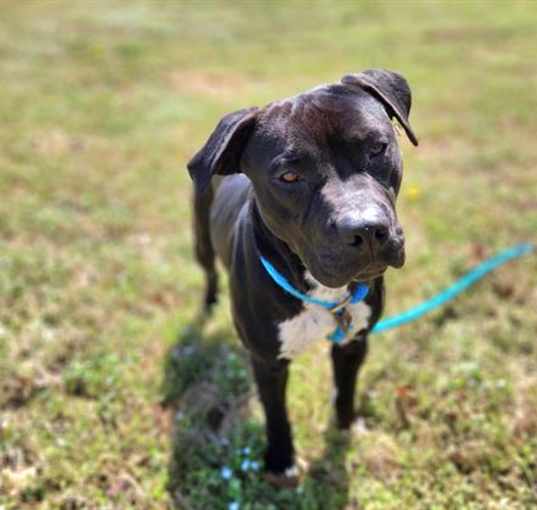 Photo of TUX