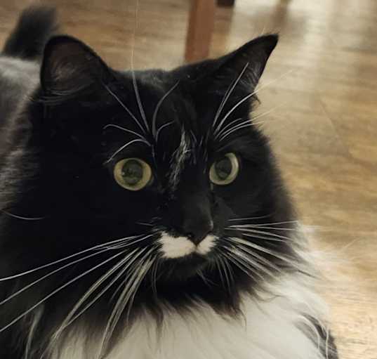 Photo of Jaz