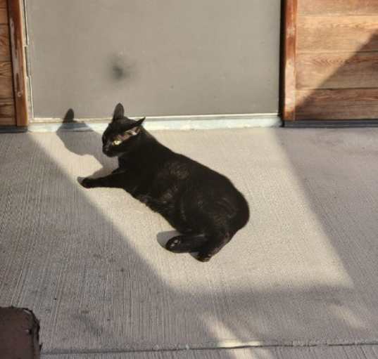 Photo of Latimer