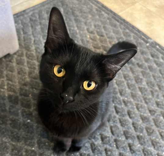 Photo of Jet