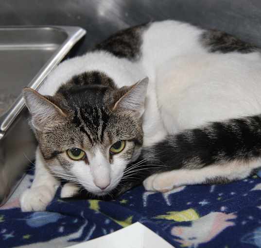 Photo of Dewey