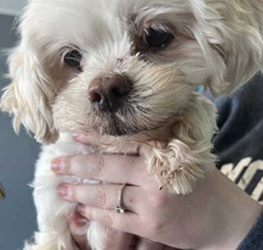 Photo of Lula Belle