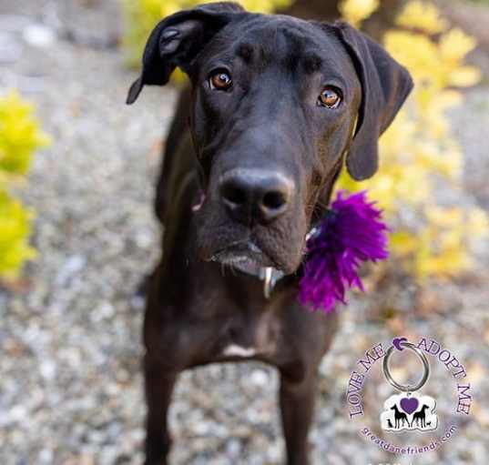 Photo of Ruby