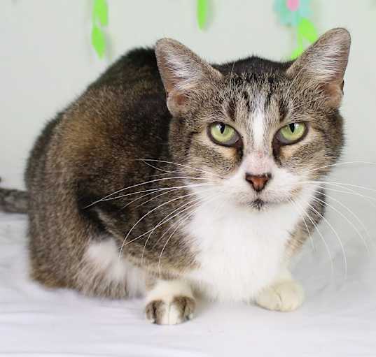Photo of Margarita