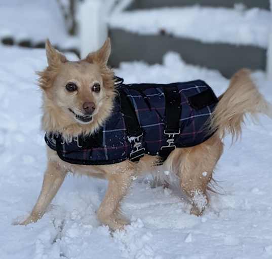 Photo of Charlie