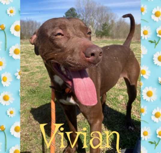 Photo of Vivian