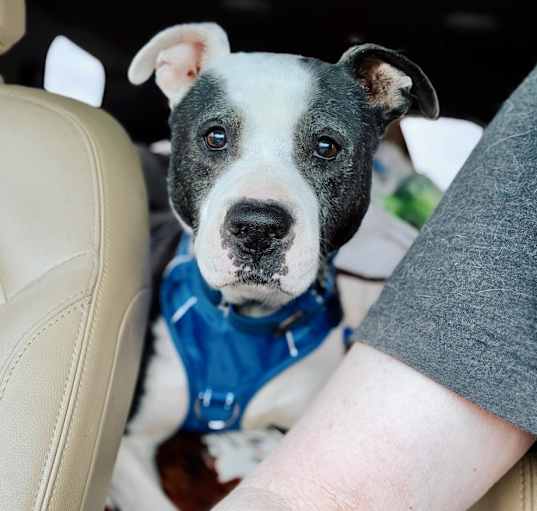 Photo of Gerald (Sponsored)